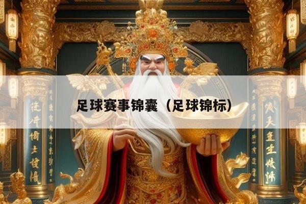 足球赛事锦囊(足球锦标)