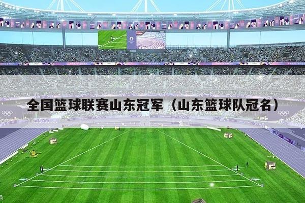 全国篮球联赛山东冠军(山东篮球队冠名)