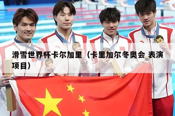 滑雪世界杯卡尔加里(卡里加尔冬奥会 表演项目)