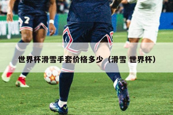 世界杯滑雪手套价格多少(滑雪 世界杯)