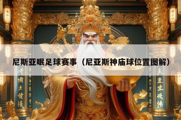 尼斯亚眠足球赛事(尼亚斯神庙球位置图解)