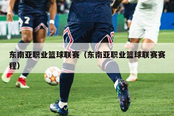 东南亚职业篮球联赛(东南亚职业篮球联赛赛程)