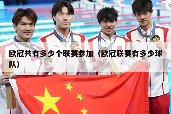 欧冠共有多少个联赛参加(欧冠联赛有多少球队)