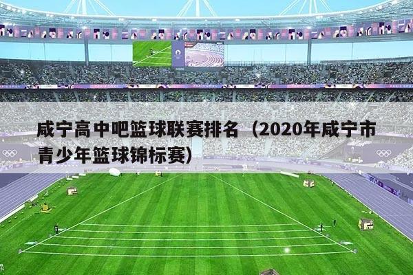 咸宁高中吧篮球联赛排名(2020年咸宁市青少年篮球锦标赛)