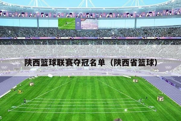 陕西篮球联赛夺冠名单(陕西省篮球)