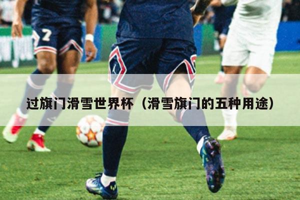 过旗门滑雪世界杯(滑雪旗门的五种用途)