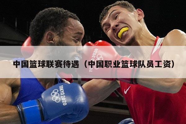 中国篮球联赛待遇(中国职业篮球队员工资)