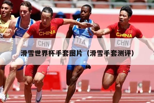 滑雪世界杯手套图片(滑雪手套测评)