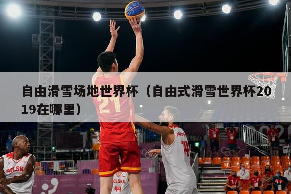 自由滑雪场地世界杯(自由式滑雪世界杯2019在哪里)