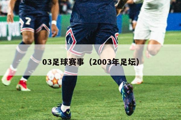 03足球赛事(2003年足坛)
