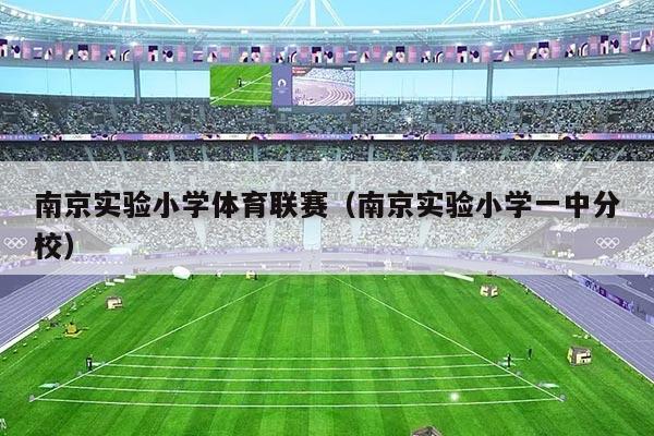 南京实验小学体育联赛(南京实验小学一中分校)