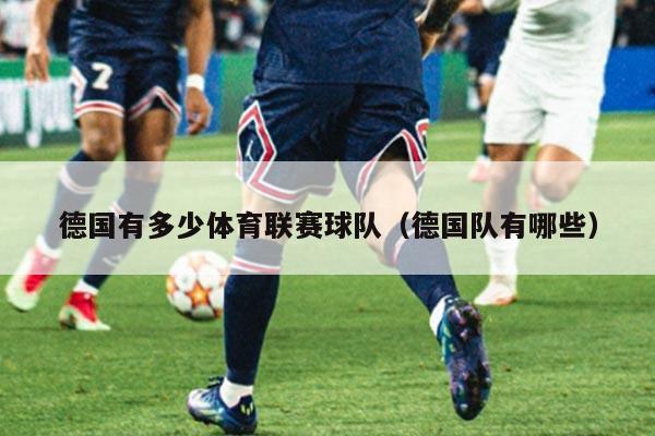 德国有多少体育联赛球队(德国队有哪些)