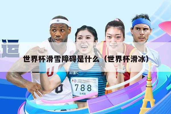 世界杯滑雪障碍是什么(世界杯滑冰)