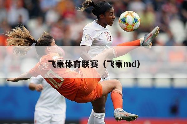 飞豪体育联赛(飞豪md)