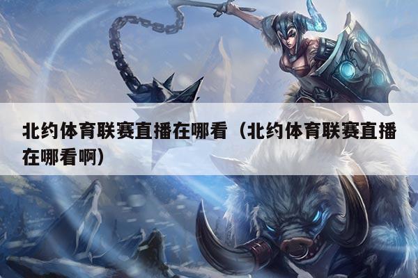 北约体育联赛直播在哪看(北约体育联赛直播在哪看啊)