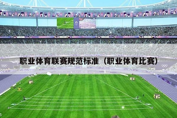 职业体育联赛规范标准(职业体育比赛)