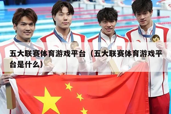 五大联赛体育游戏平台（五大联赛体育游戏平台是什么）