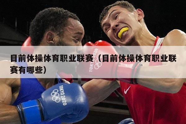 目前体操体育职业联赛(目前体操体育职业联赛有哪些)