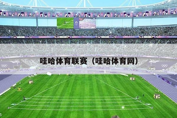 哇哈体育联赛(哇哈体育网)