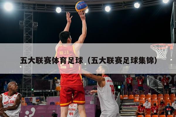 五大联赛体育足球(五大联赛足球集锦)