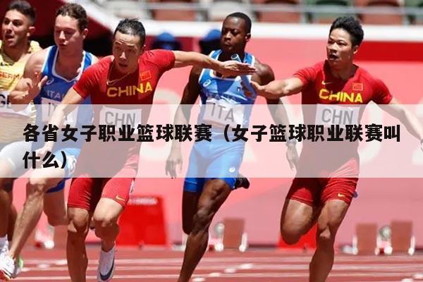 各省女子职业篮球联赛(女子篮球职业联赛叫什么)