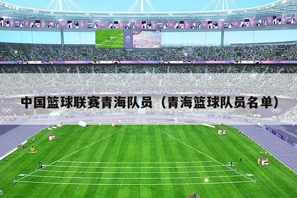 中国篮球联赛青海队员(青海篮球队员名单)