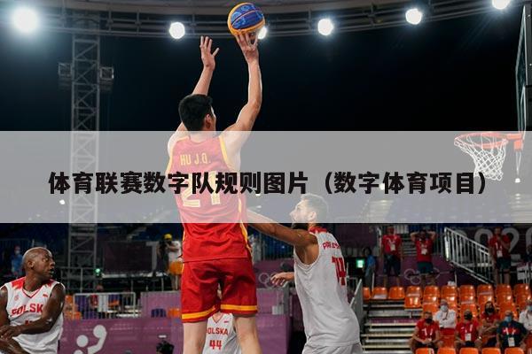 体育联赛数字队规则图片(数字体育项目)