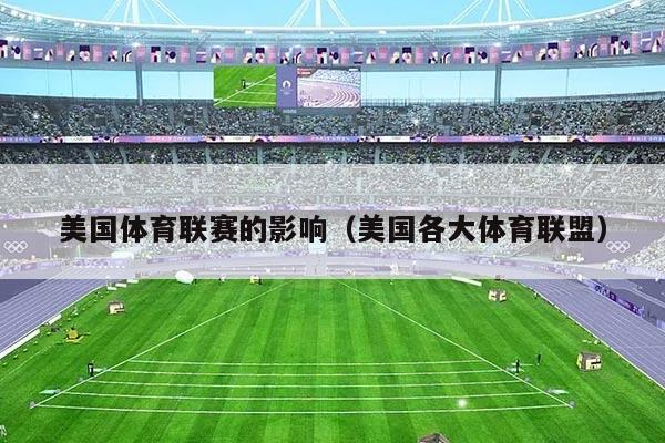 美国体育联赛的影响(美国各大体育联盟)