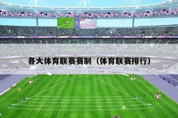 各大体育联赛赛制(体育联赛排行)