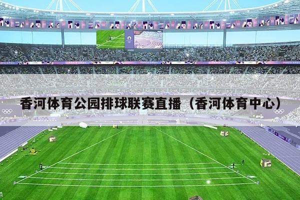 香河体育公园排球联赛直播(香河体育中心)