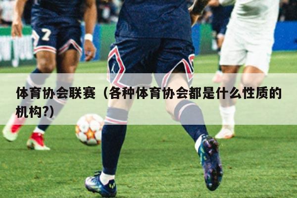 体育协会联赛(各种体育协会都是什么性质的机构?)