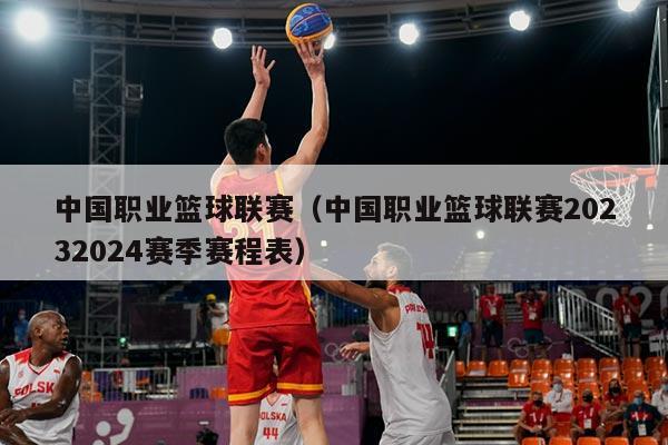 中国职业篮球联赛(中国职业篮球联赛20232024赛季赛程表)