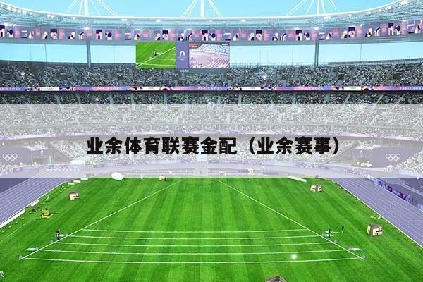 业余体育联赛金配(业余赛事)