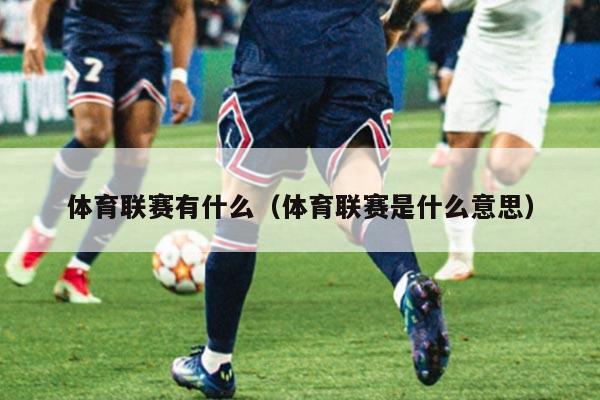 体育联赛有什么(体育联赛是什么意思)