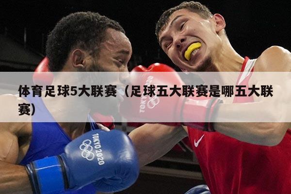 体育足球5大联赛(足球五大联赛是哪五大联赛)