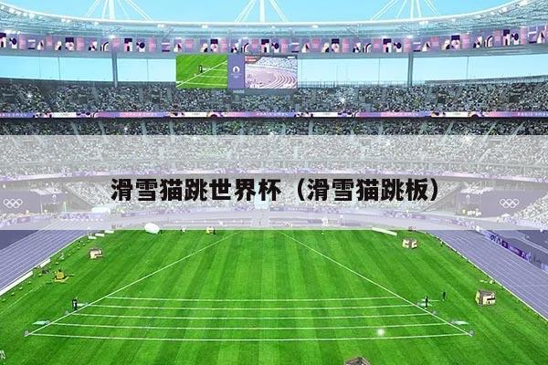 滑雪猫跳世界杯(滑雪猫跳板)