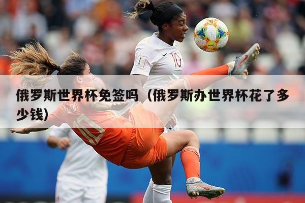 俄罗斯世界杯免签吗（俄罗斯办世界杯花了多少钱）