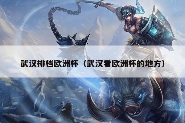 武汉排档欧洲杯（武汉看欧洲杯的地方）